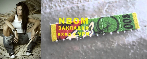 индика Иннополис