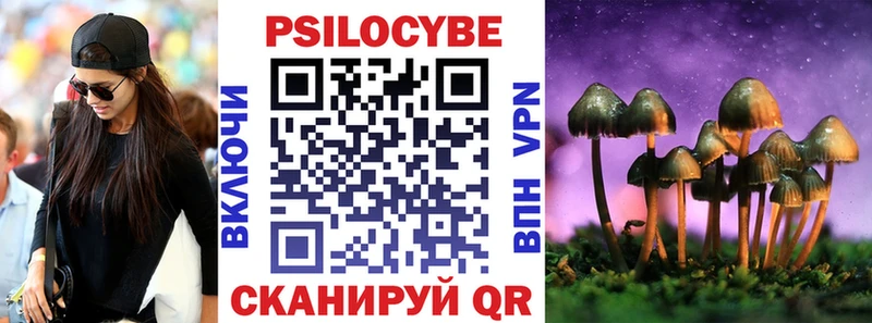 купить  сайты  Бузулук  Псилоцибиновые грибы Psilocybe 