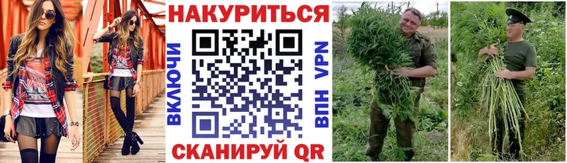Конопля Amnesia  кракен как войти  Бузулук 